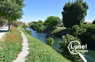 Nouveauté : "Lunel à la loupe" vous fait découvrir histoire et patrimoine